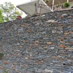 2017OTRA-1_1057 (August 27, 2017)